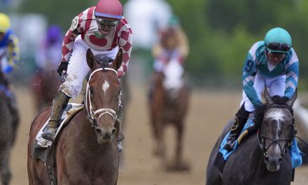 Journalism comes from behind to win the Preakness 2 weeks after finishing 2nd in the Kentucky Derby