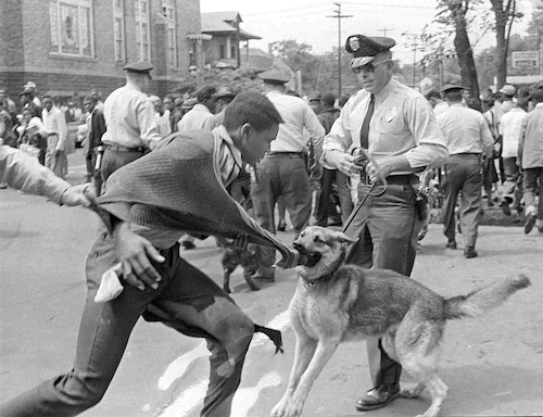 POLICE DOG DEMONSTRATOR Civil Rights