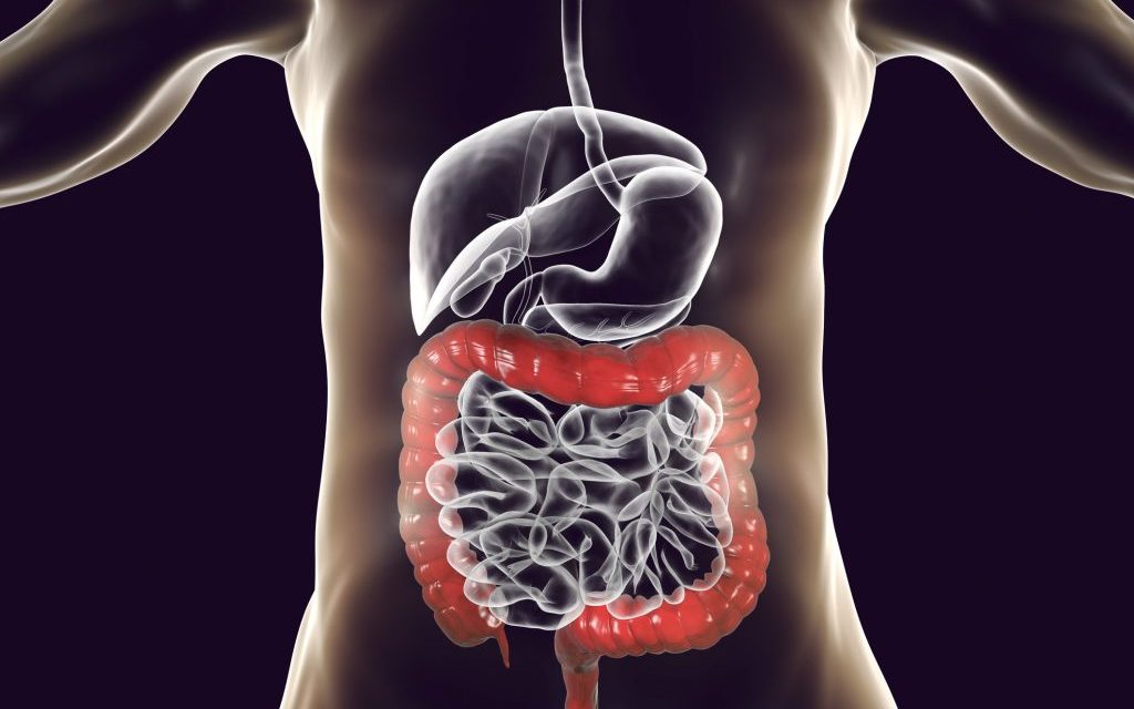 Natural Colon Cleanse: 7 Foods That Detox Your Colon