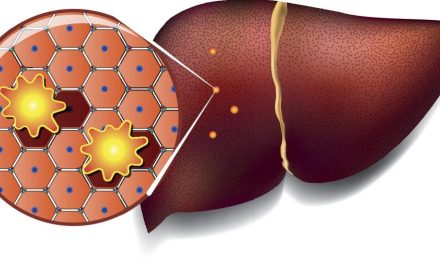 7 Foods That Replenish Your Liver