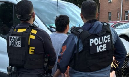 Immigration authorities arrest nearly 200 in D.C. raids