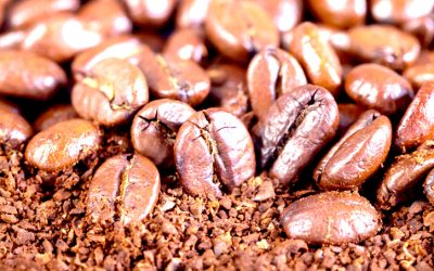 5 Incredible Benefits Of Recycled Coffee Grounds
