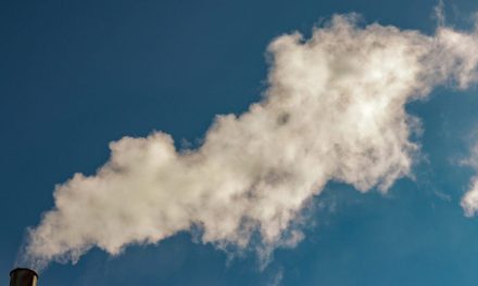 D.C. gets ‘F’ for air quality in 2025 State of the Air Report