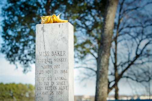 Miss Baker's monument