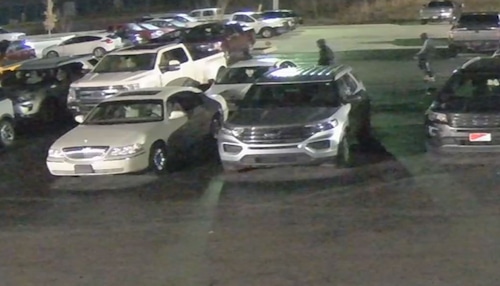 Car Theft Ring
