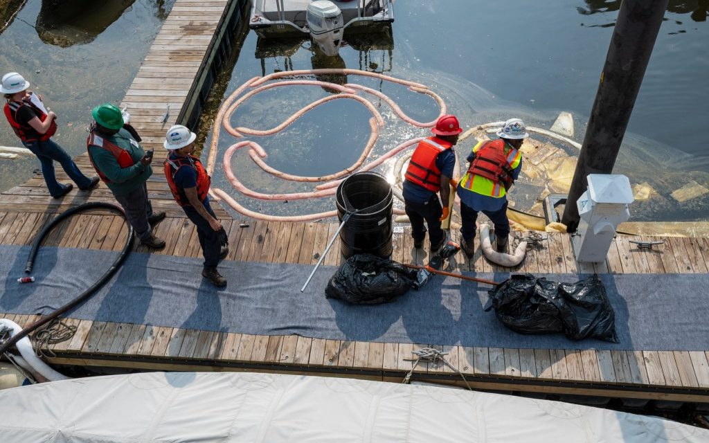Harbor East diesel spill sparks concern as impact to wildlife examined