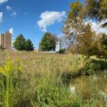 Railroad Park Foundation to Hold 15th Anniversary Luncheon on June 12