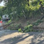How Birmingham Residents Can Respond to Downed Trees from Saturday’s Thunderstorm