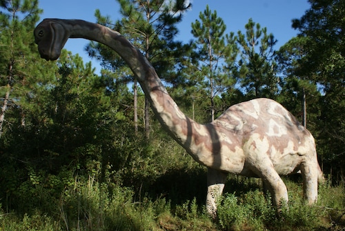 Brontosaurus