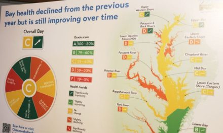 Chesapeake Bay health grade dips after hottest year on record and extreme rainfall patterns