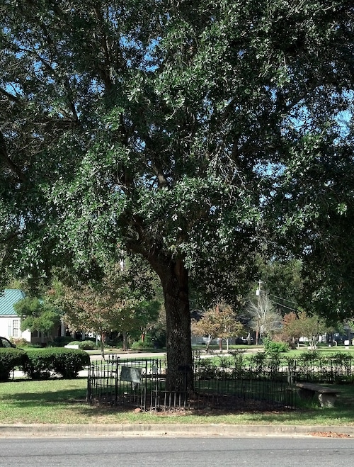 Tree That Owns Itself