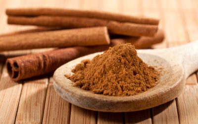 STUDY: Cinnamon May Slow Progression Of Parkinson’s Disease