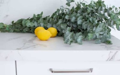 10 Natural Mosquito Repellents You Can Make at Home
