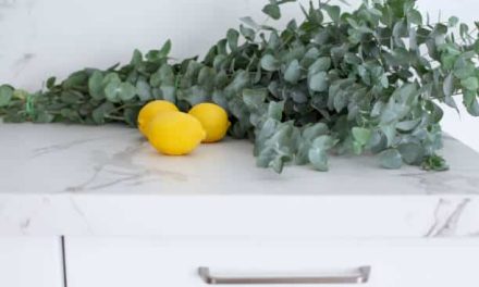 10 Natural Mosquito Repellents You Can Make at Home