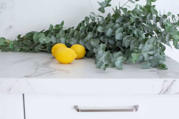 10 Natural Mosquito Repellents You Can Make at Home