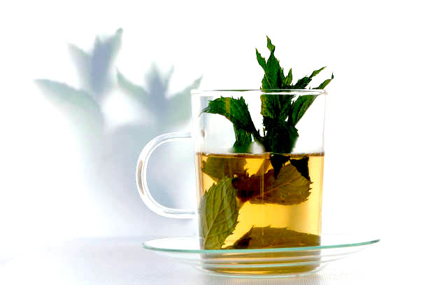 12 Herbal Teas That Natural Stop Headaches