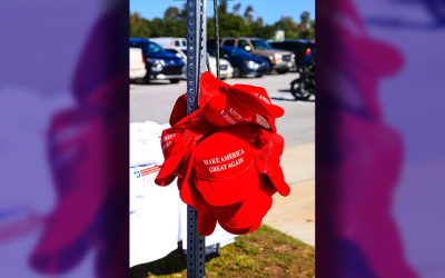 MAGA Turns on Trump’s DOJ After Epstein Records Vanish: ‘Is He Hiding His Own Name?’