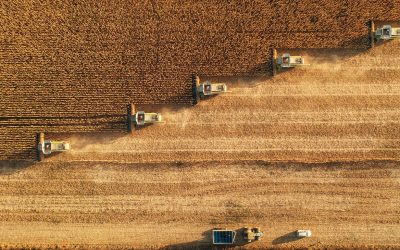 Medicaid Enrollees Targeted for Forced Farm Work Under Trump Immigration Crackdown