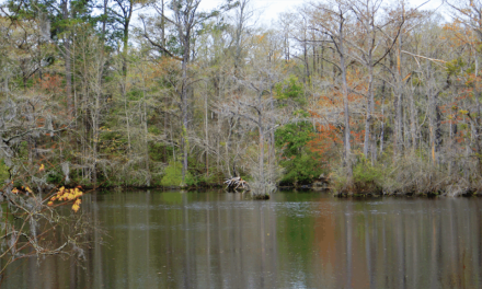 Op Ed: Isaac Strayhorn Family Answered God’s Call to Action After His Murder