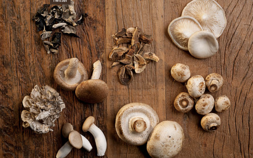 8 Incredible Reasons to Include Mushrooms in Your Diet