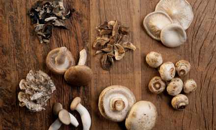 8 Incredible Reasons to Include Mushrooms in Your Diet