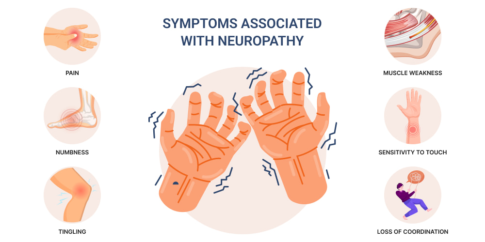 When Nerves Cry Out: The Hidden Link Between Vitamin B Deficiency and Neuropathy