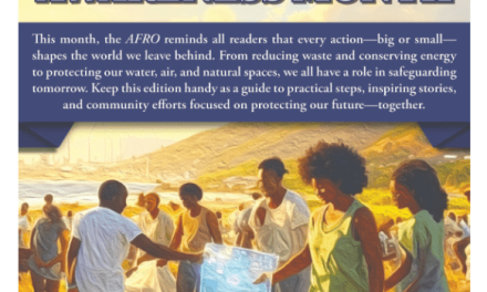 Afro e-Edition 9_05_2025