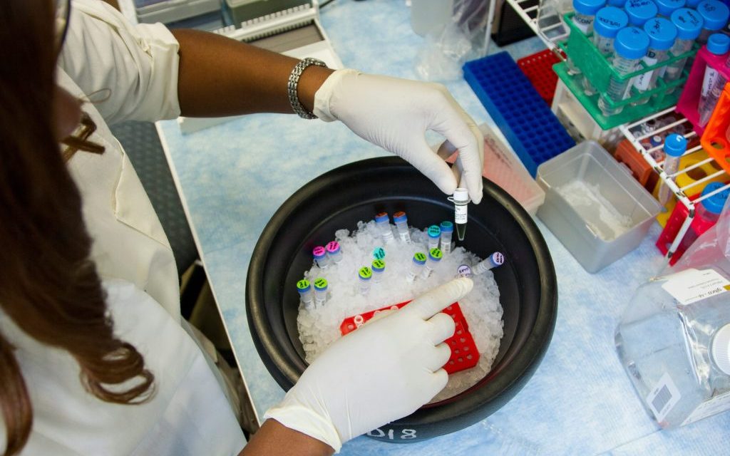 Experts urge families to seek genetic counseling early