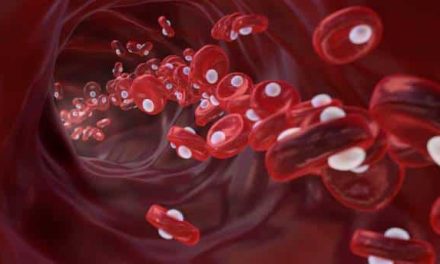 Low Red Blood Cell Count: What It Means for Your Health