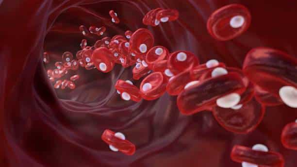 Low Red Blood Cell Count: What It Means for Your Health