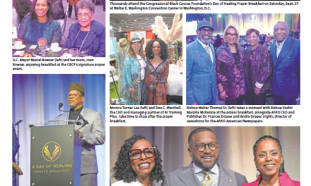 Sophisticated Settings — Lifestyle — October 10, 2025