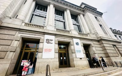 Government shutdown forces Smithsonian to temporarily close all museums and National Zoo