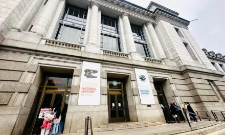 Government shutdown forces Smithsonian to temporarily close all museums and National Zoo