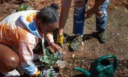 Teach your kids backyard and urban farming to promote nutrition and neighborhood health