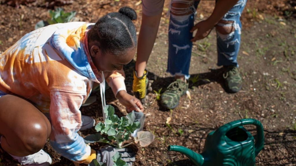 Teach your kids backyard and urban farming to promote nutrition and neighborhood health