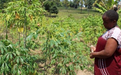 In Kenya, a search for links between a changing climate and mental health
