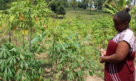 In Kenya, a search for links between a changing climate and mental health