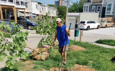 Planting hope: How Baltimore locals use trees to fight climate change