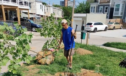 Planting hope: How Baltimore locals use trees to fight climate change
