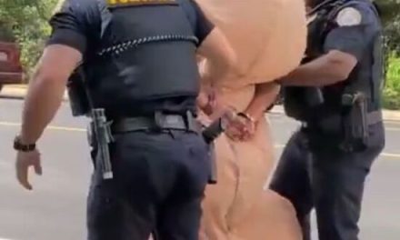 Woman Arrested for Inflatable Costume at Alabama ‘No Kings’ Rally Sparks Free Speech Debate