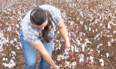 Dry September Deepens Drought, Threatens Alabama Farms and Forests