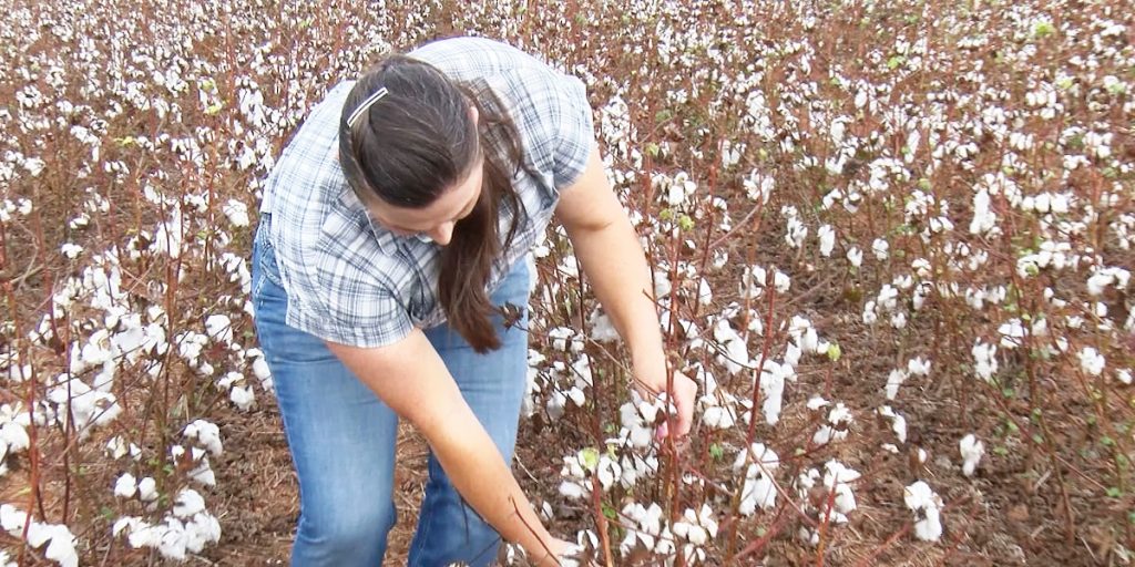 Dry September Deepens Drought, Threatens Alabama Farms and Forests
