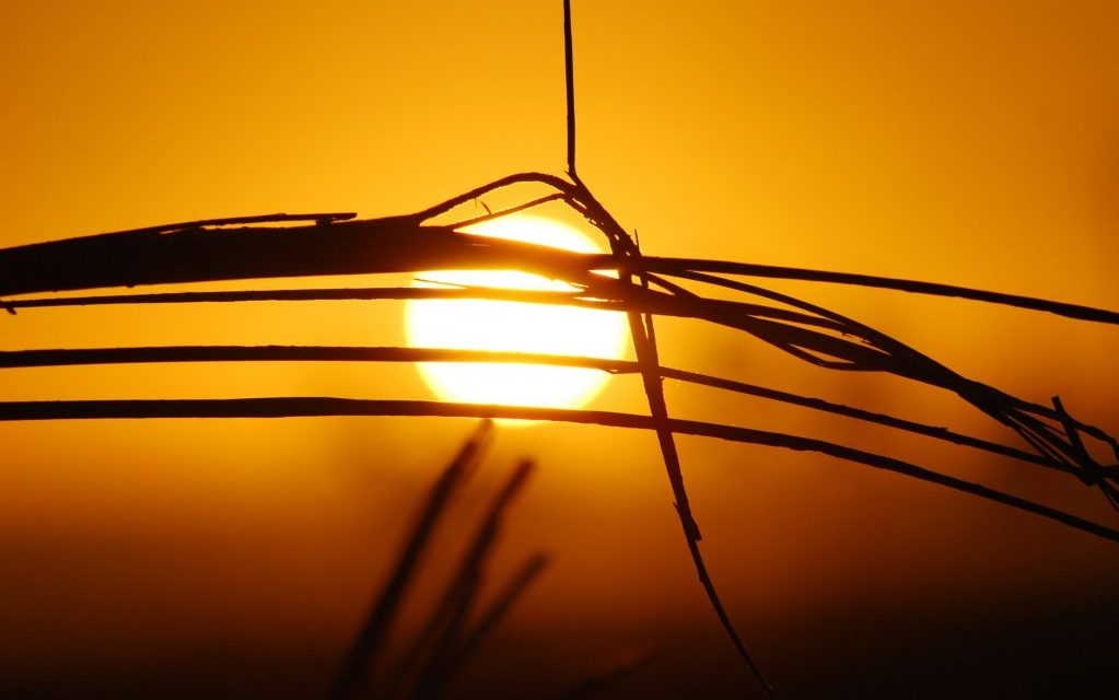 Hot, humid, and getting worse: Why Maryland must step up on climate