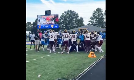 HBCU Football Brawl Leads to 20 Suspensions, Conference Fines