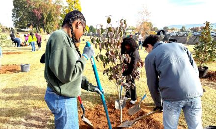 AAMU Environmental Science Club Helps Grow Huntsville’s Urban Forest
