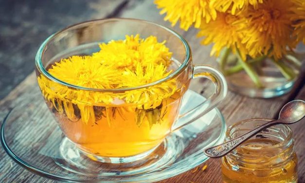 The Real Benefits of the Dandelion Herb