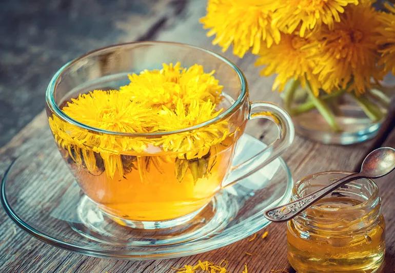 The Real Benefits of the Dandelion Herb
