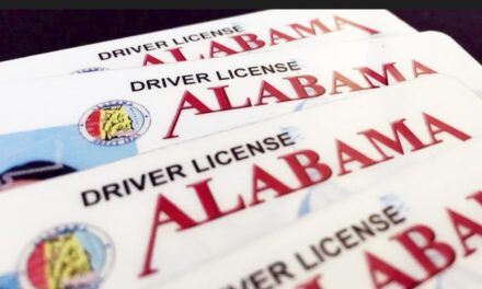 Alabama Lawmakers Consider Digital Driver’s Licenses Under New Proposal