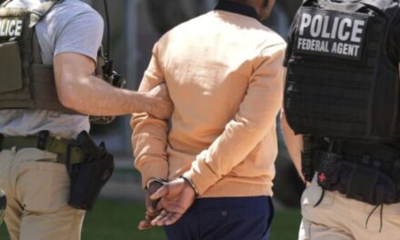 D.C. Council questions the District’s cooperation with ICE