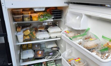 Grassroots fridge network delivers food — and care — across Baltimore